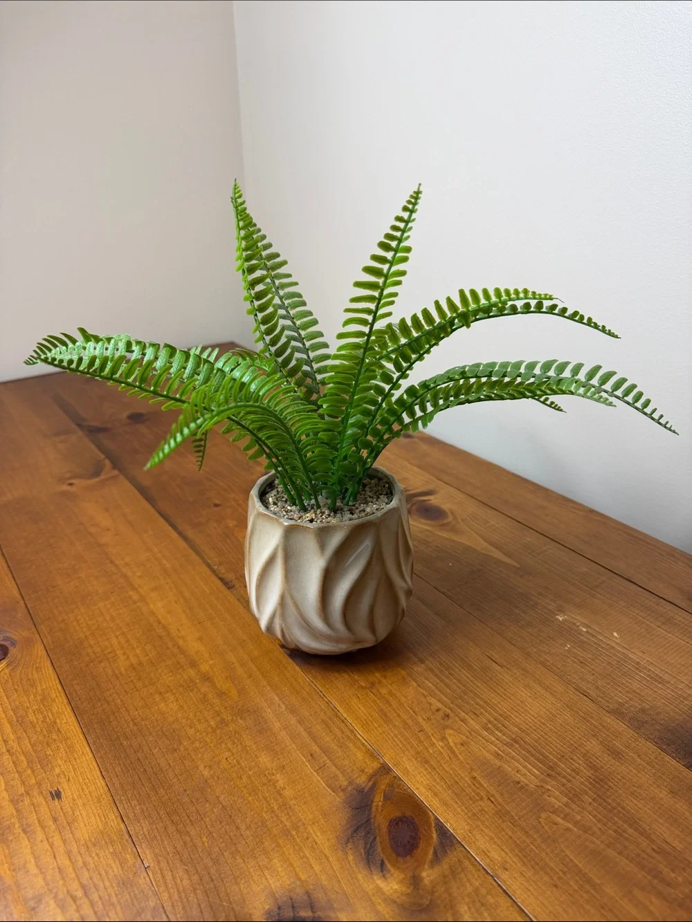 Faux Fern | Cream Tan Textured Ceramic Pot | Minimalist | Houseplant | Green